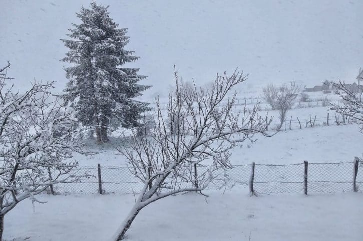 Masakr kod Sjenice: Došao iz Nemačke, pa pobio porodicu