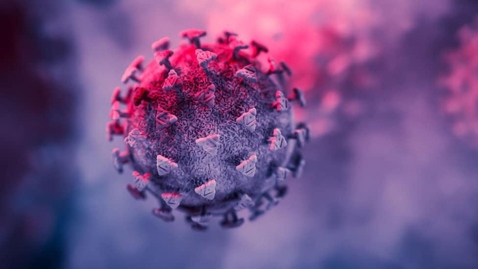 Rendering of the Sars-CoV-2 virus - stock photo