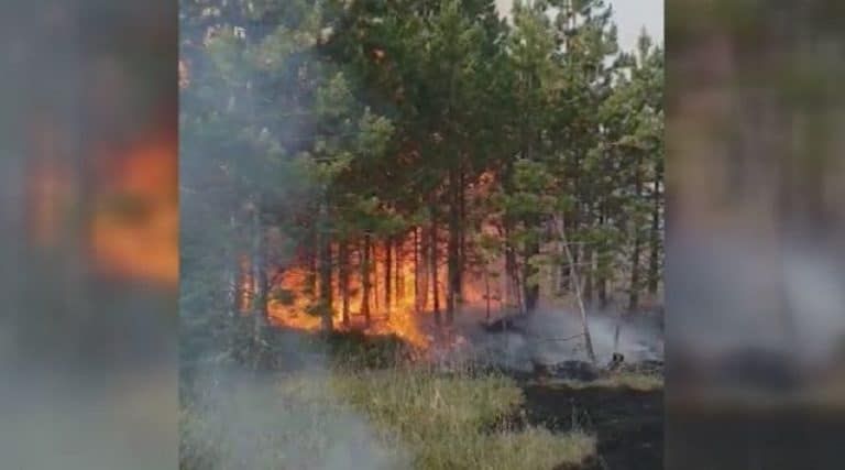 MUP: Nema otvorenog plamena od požara u šumi kod Nove Varoši