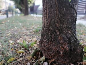 Poljoprivredici dobili mehanizaciju kao pomoć pri samozapošljavanju