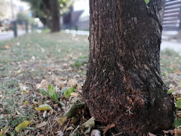 Poljoprivredici dobili mehanizaciju kao pomoć pri samozapošljavanju