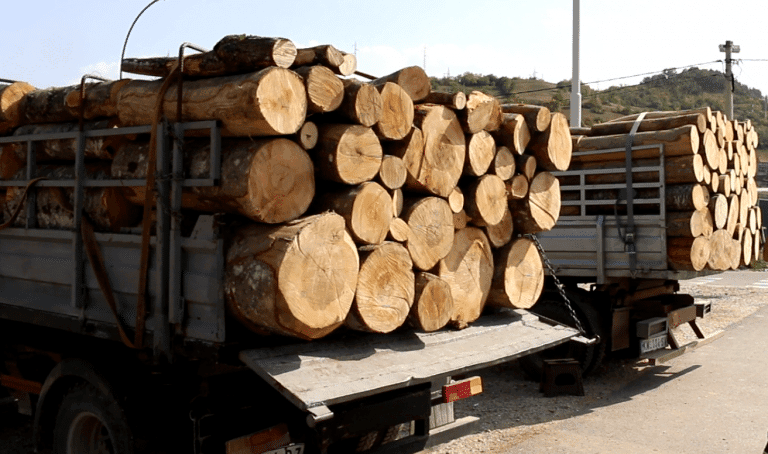 Veća potražnja drva bila tokom leta (video)