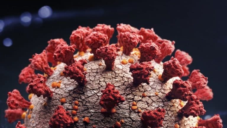 Korona virus: Delta Plus varijanta se možda lakše i brže prenosi – kažu britanski stručnjaci