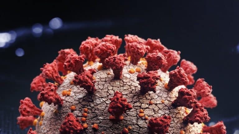 Korona virus: Novi drastično mutirani soj dobio naziv Omikron – šta znamo do sada