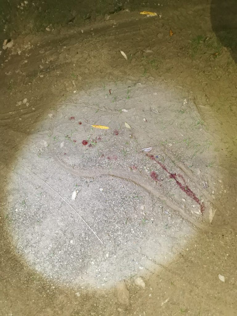 Devojka čije telo je nađeno u Ibru ipak ubijena