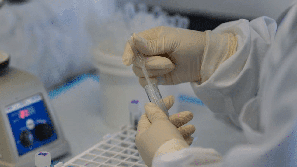 A lab worker analyses Covid-19 tests