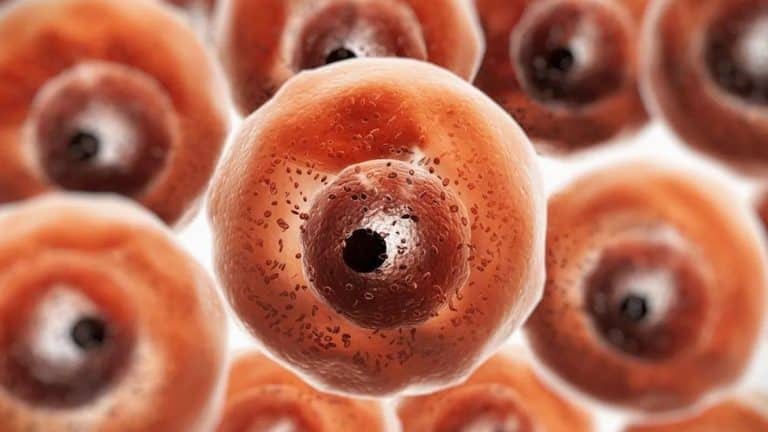 Korona virus: Ćelije koje mogu da vam podare superimunitet