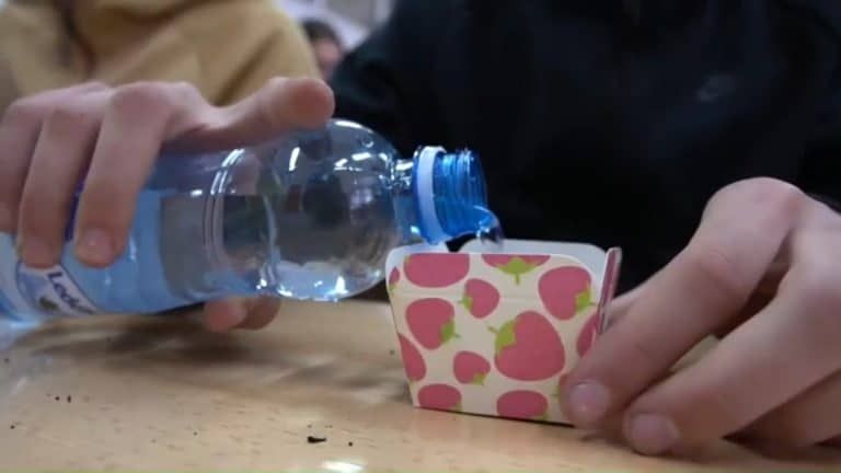 Učenici OŠ Meša Selimović obeležili dan planete Zemlje (video)