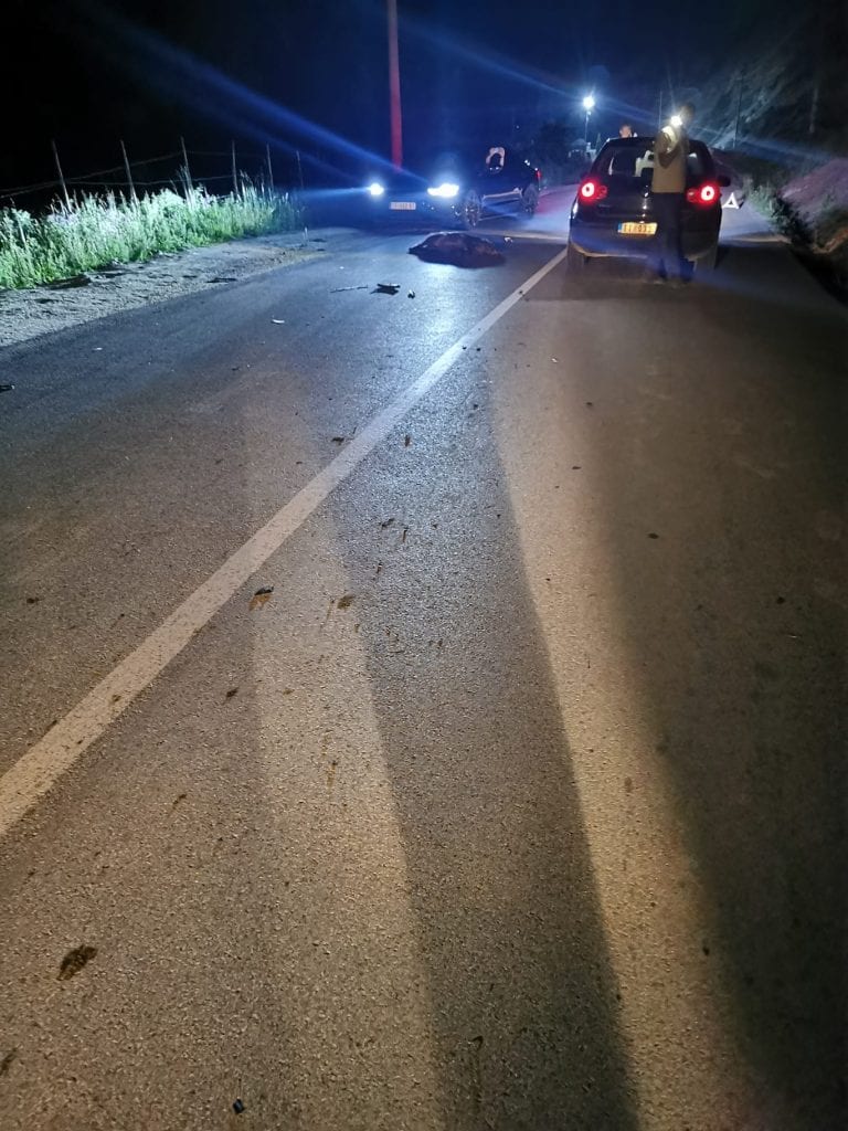 Vozači: Poštujte prometnu signalizaciju, sačuvajte divljač