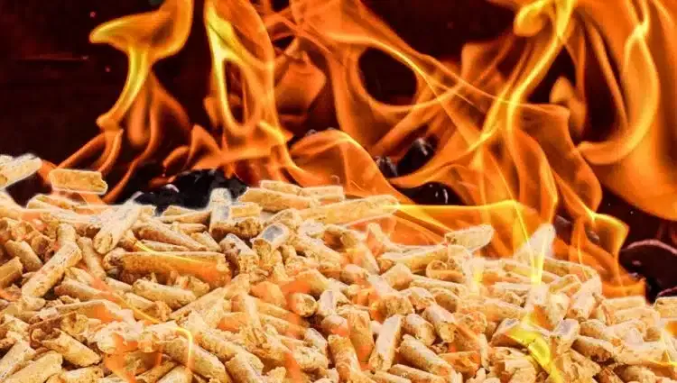 Peleta nema nigde, a cena otišla u nebo