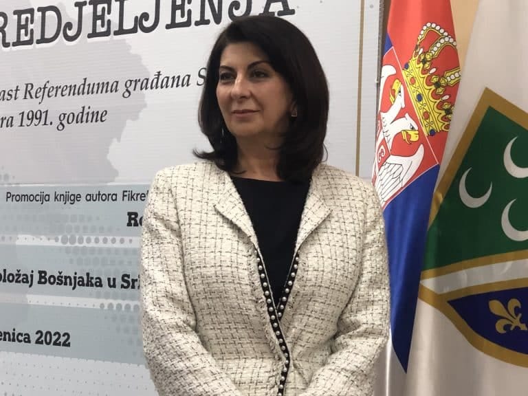 Curić: Izgradili smo Vijeće koje se bavi nacionalnom, a ne partijskom politikom (video)