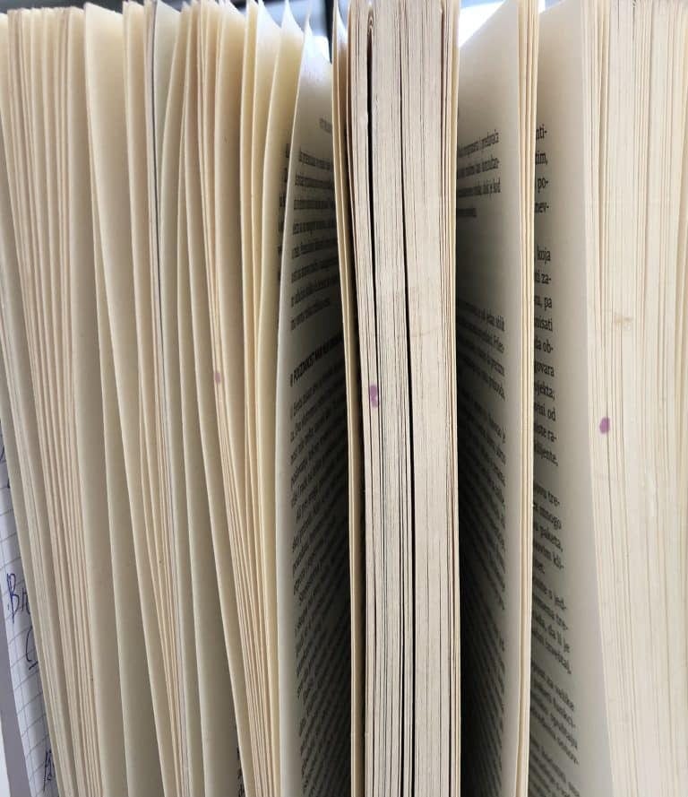 Dan maternjeg jezika