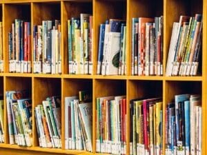 Nove ili polovne knjige? (VIDEO)