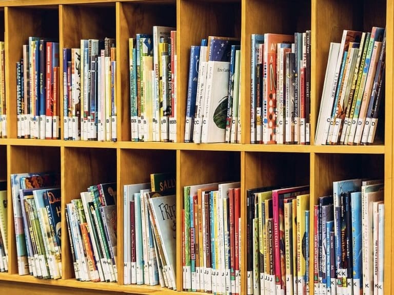 Nove ili polovne knjige? (VIDEO)