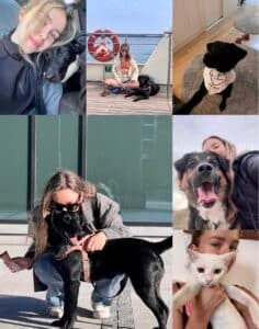 Azra Hasanbegović: “Nadamo se da će farsa u vezi sa tenderom za izgradnju azila za životinje uskoro biti završena”