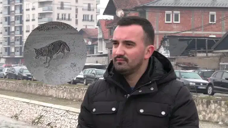 Opasna zver šeta ulicama Novog Pazara (VIDEO)