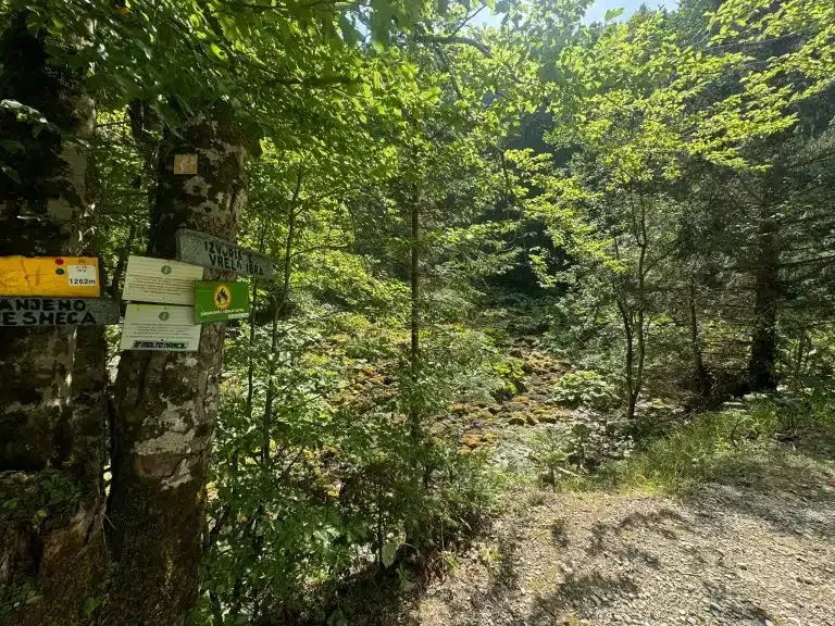 Ekološka katastrofa: Izvor reke Ibar presušio, dok voda ponovo misteriozno teče (VIDEO)