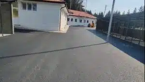 Grad Novi Pazar: Od danas hvatamo pse, nećemo stati sve dok se poslednji napušteni pas ne skloni sa ulica