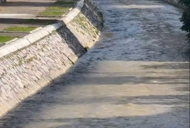 Posle emitovanja priloga na A1 reagovala komunalna policija, obavešteno i tužilaštvo (VIDEO)