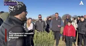 Novopazarci zasadili 500 stabala na Rogozni (VIDEO)
