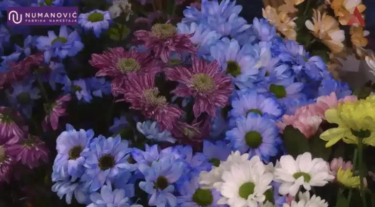 Da li Novopazarci kupuju cveće svojim lepšim polovinama? (VIDEO)