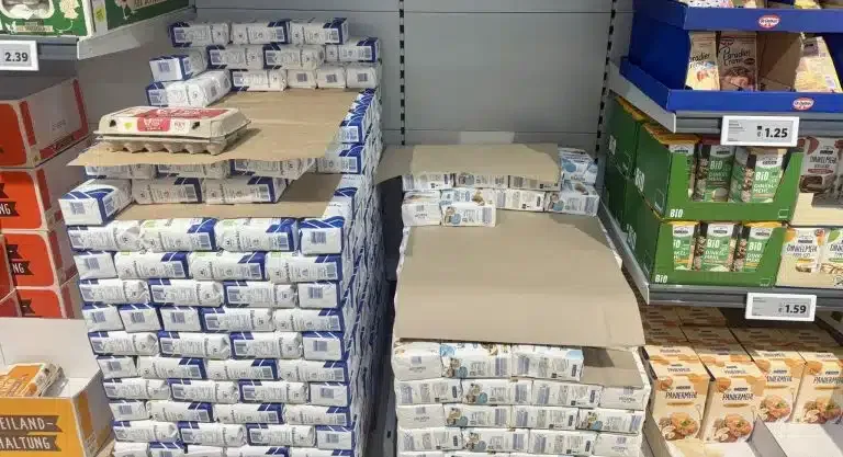 Šta mislite o bojkotu? (VIDEO)