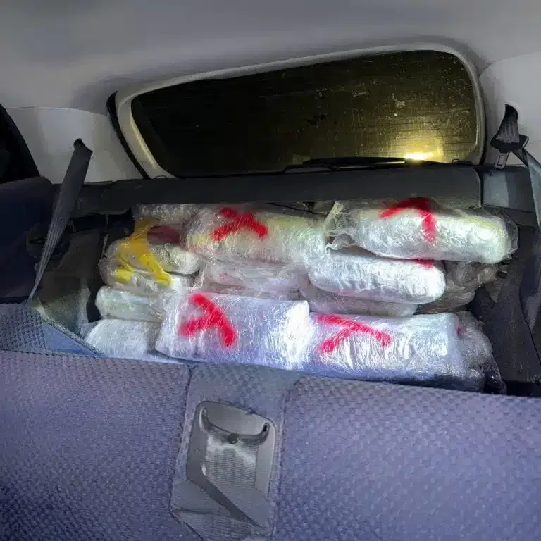 Novopazarska policija zaplenila više od 55 kilograma marihuane (VIDEO)