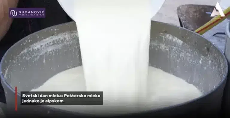 Svetski dan mleka: Sjeničko mleko jednako je alpskom (VIDEO)
