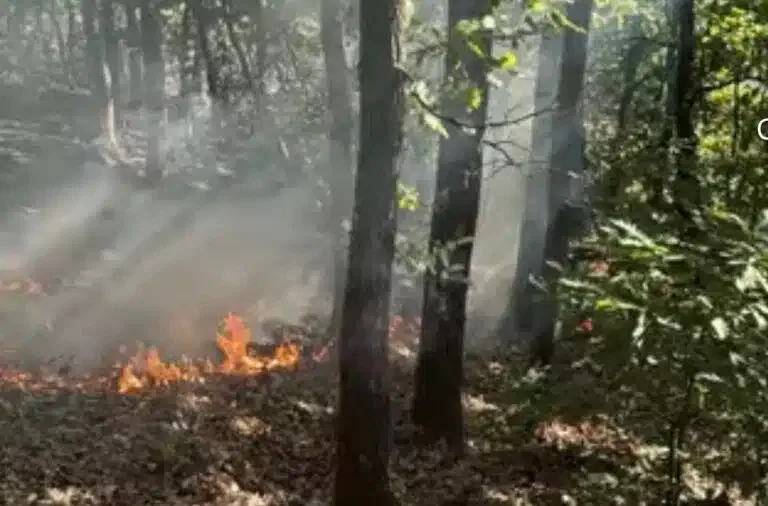 Požar u selu Kruševo zahvatio njivu i lokalnu šumu (VIDEO)