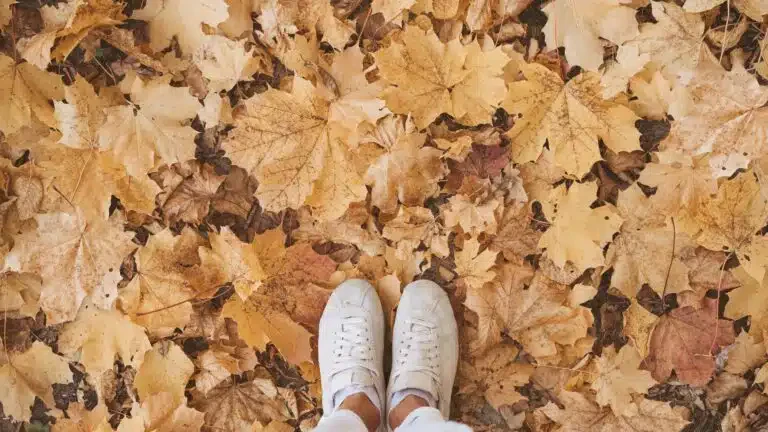 Jesen je stigla: počinje danas u 20:19