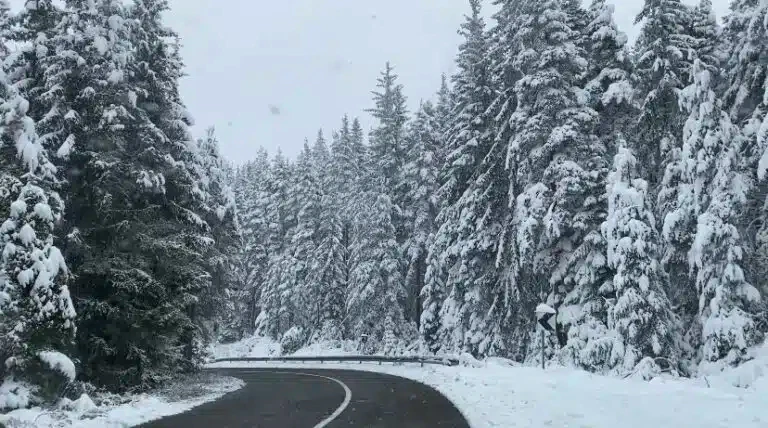Putevi prema Dugoj Poljani, Sjenici, Zlataru i Novoj Varoši prohodni (VIDEO)