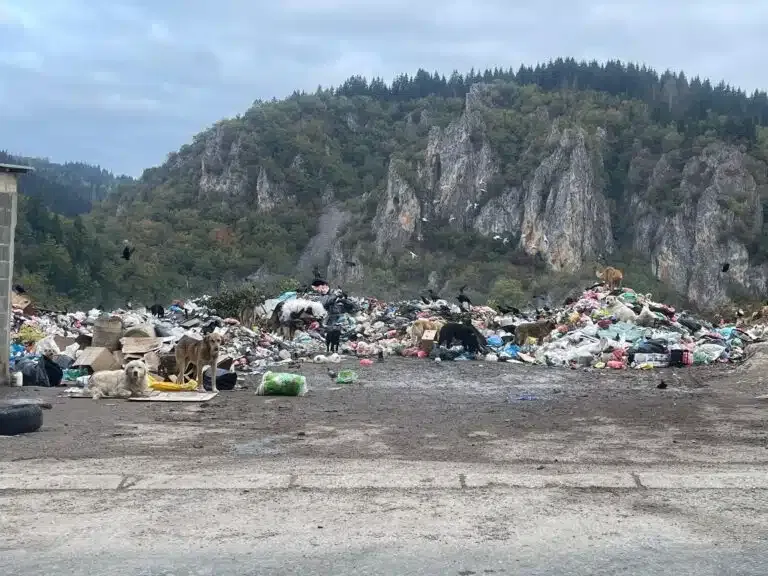 Deponija Mostine u Rožajama se zatvara nakon rešenja Agencije za zaštitu životne sredine (VIDEO)