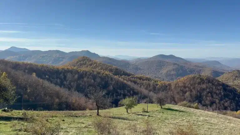 Dan planina i Rogozna: Da li čuvamo ili žrtvujemo prirodu?