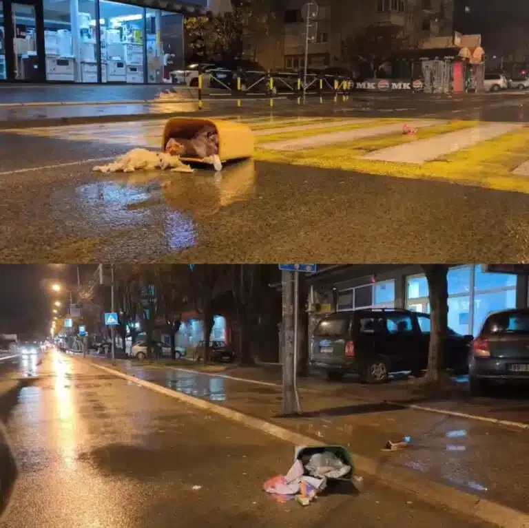 PRIJAVI PROBLEM: Vandali tokom noći lomili kante za smeće u centru Novog Pazara (VIDEO)