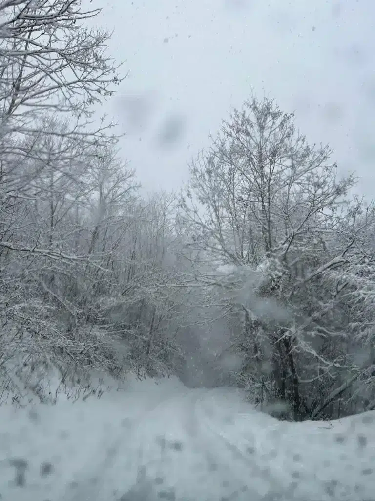 Snežne padavine u Prijepolju i okolini(VIDEO)