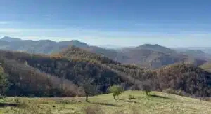 Rogozna ponovo u fokusu: Ležište Gradina krije znatno više zlata od ranije procenjenih 37 tona