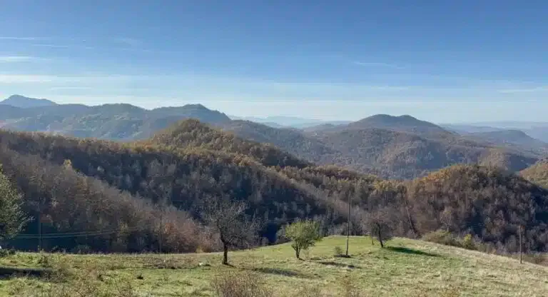 Rogozna ponovo u fokusu: Ležište Gradina krije znatno više zlata od ranije procenjenih 37 tona