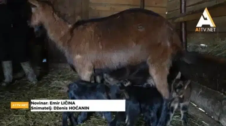 Prirodni fenomen u selu kod Tutina (VIDEO)