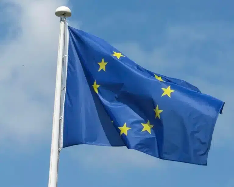 EU zabrinuta zbog lokalnih izbora u Srbiji: Navodi nepravilnosti i incidente