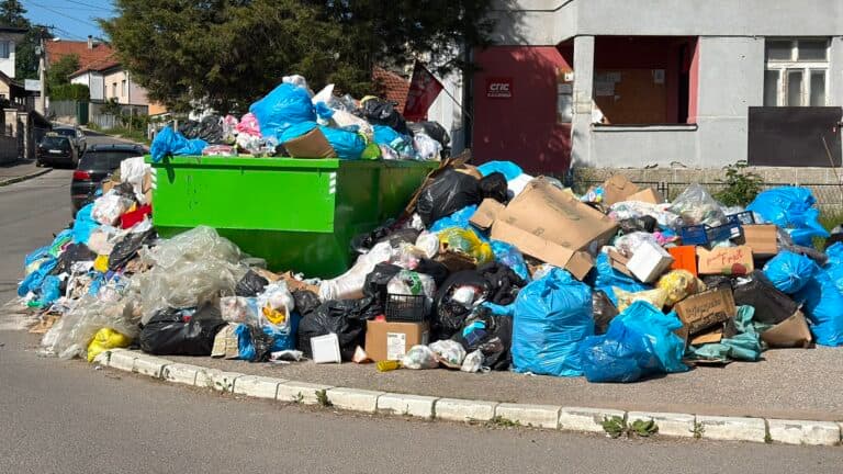 Sjenica puna smeća, trenutno nema rešenja problema (VIDEO)