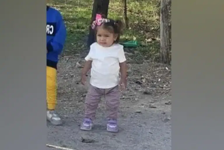 Aktiviran sistem „Pronađi me“: Devojčica Dunja Marković (2) nestala u Ubu