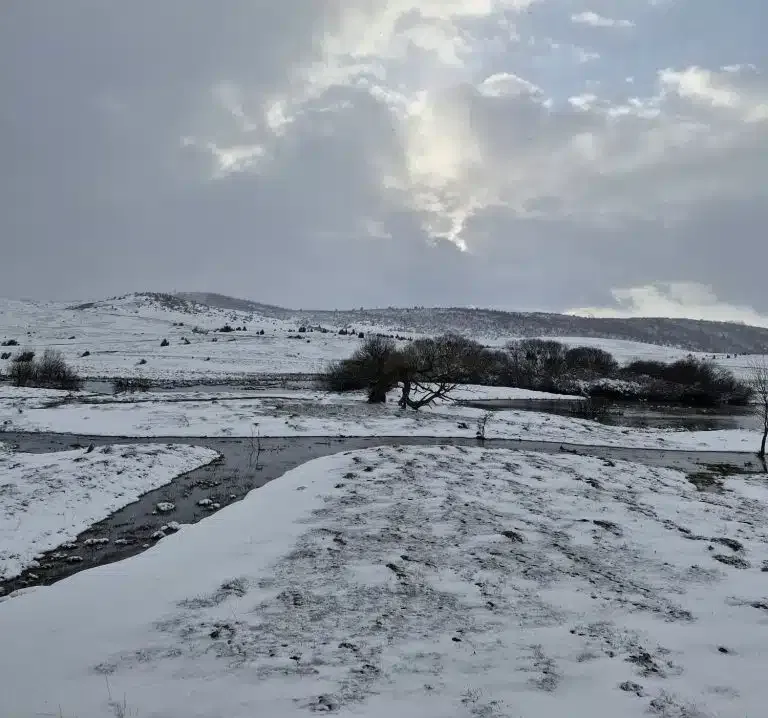 Kad se zima vrati na proleće: Pešter danas pod belim pokrivačem, najavljena nova zahlađenja