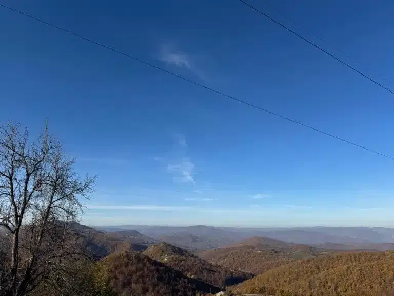 Ziđin uložio pet miliona dolara u istraživanje zlata i bakra na Rogozni
